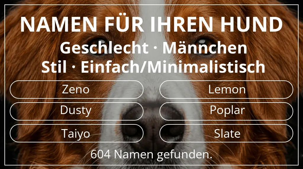 Namen für Hunde inspiriert von geschlecht männchen und stil einfach/minimalistisch