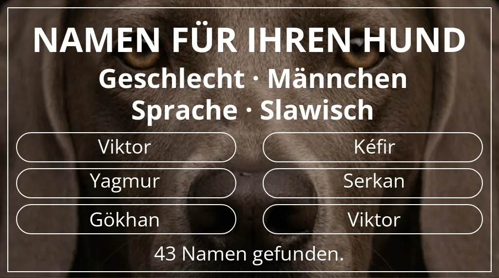 Namen für Hunde basierend auf geschlecht männchen und sprache slawisch