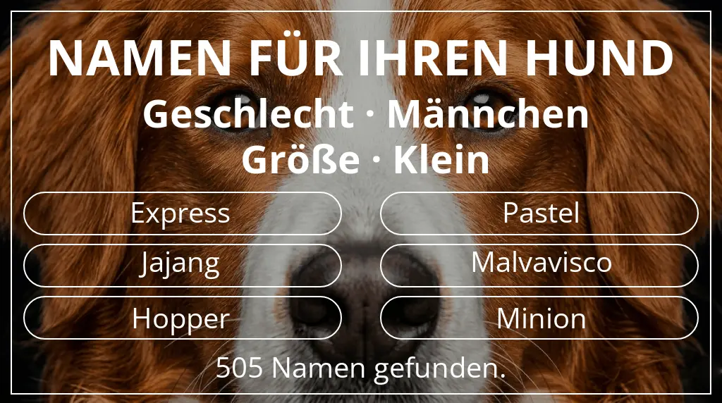 Namen für Hunde inspiriert von geschlecht männchen und größe klein