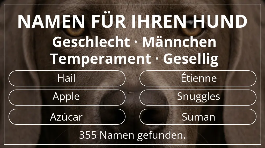 Namen für Hunde inspiriert von geschlecht männchen und temperament gesellig
