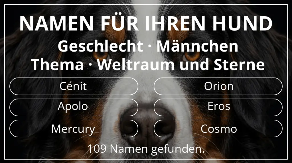 Hundenamen basierend auf geschlecht männchen und thema weltraum und sterne