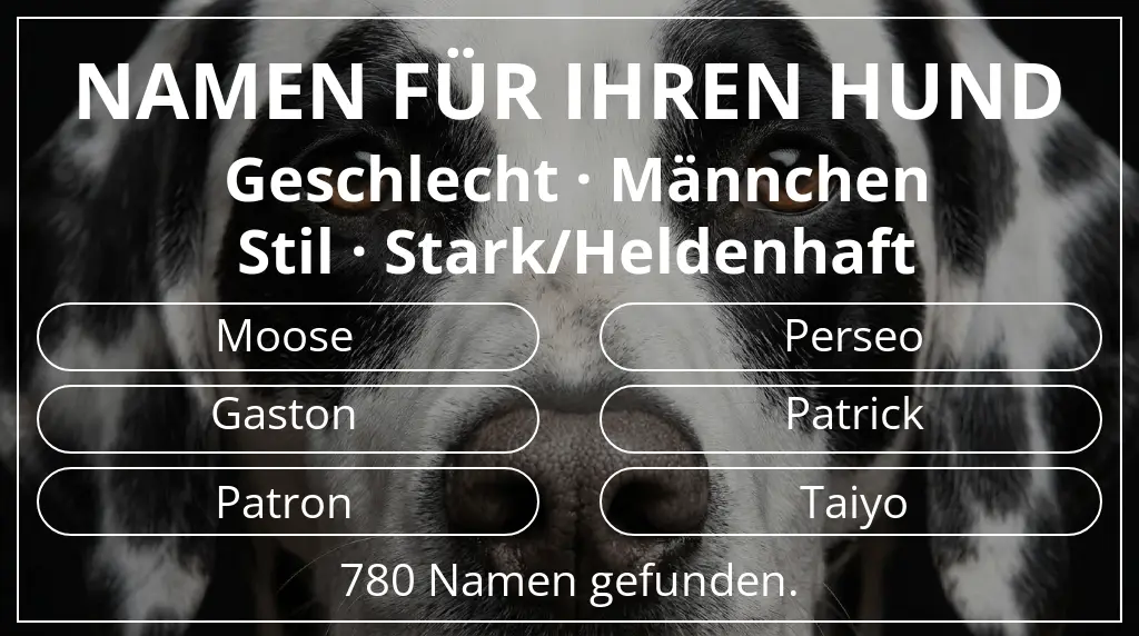 Namen für Hunde inspiriert von geschlecht männchen und stil stark/heldenhaft