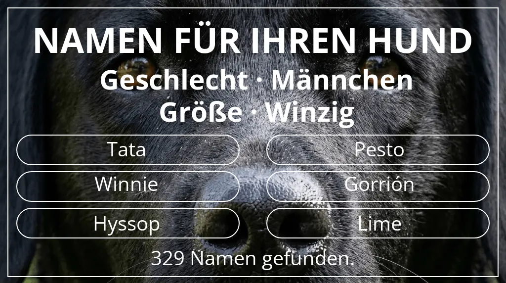 Hundenamen basierend auf geschlecht männchen und größe winzig