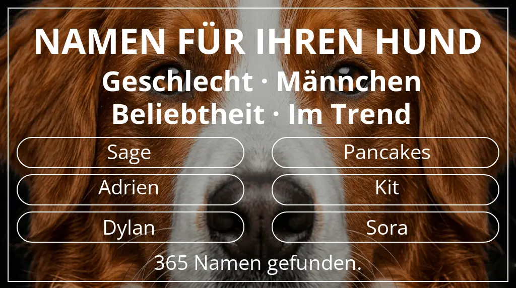 Hundenamen inspiriert von geschlecht männchen und beliebtheit im trend