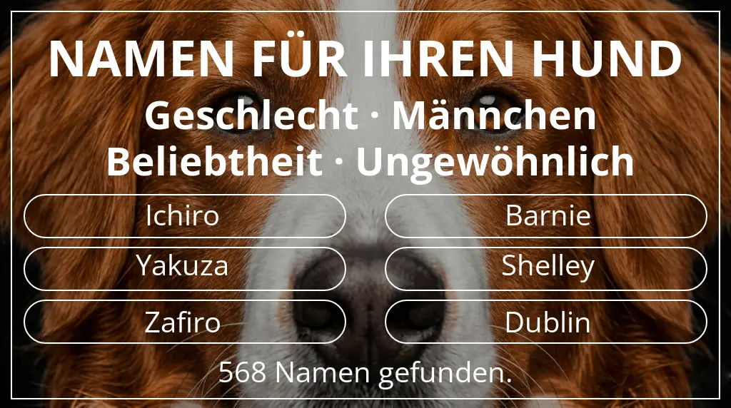 Hundenamen basierend auf geschlecht männchen und beliebtheit ungewöhnlich