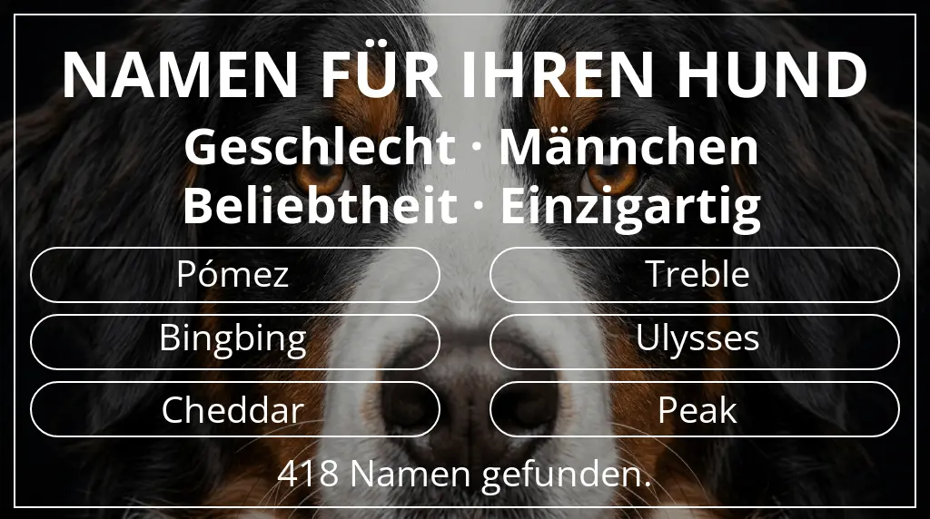 Hundenamen inspiriert von geschlecht männchen und beliebtheit einzigartig