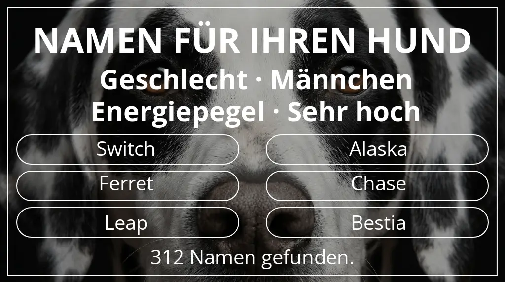 Namen für Hunde basierend auf geschlecht männchen und energiepegel sehr hoch