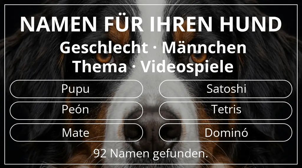 Namen für Hunde basierend auf geschlecht männchen und thema videospiele