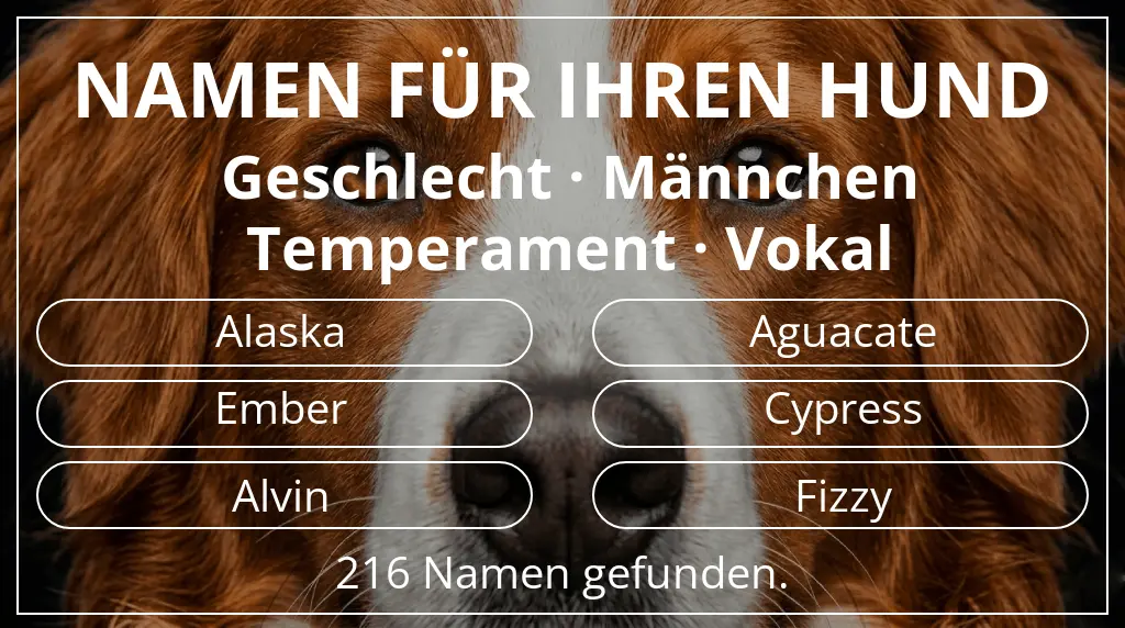 Namen für Hunde inspiriert von geschlecht männchen und temperament vokal