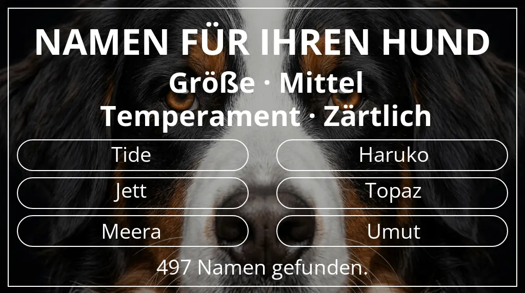 Namen für Hunde inspiriert von größe mittel und temperament zärtlich