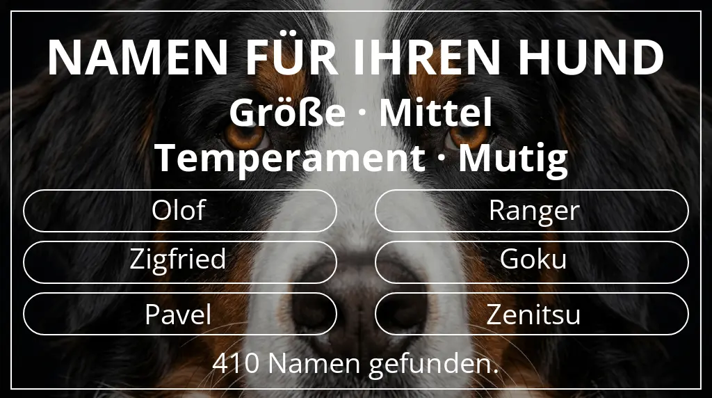 Hundenamen basierend auf größe mittel und temperament mutig
