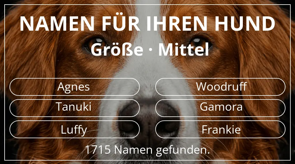 Hundenamen basierend auf größe mittel