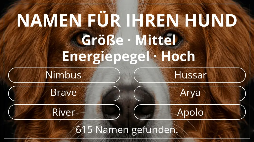 Namen für Hunde inspiriert von größe mittel und energiepegel hoch