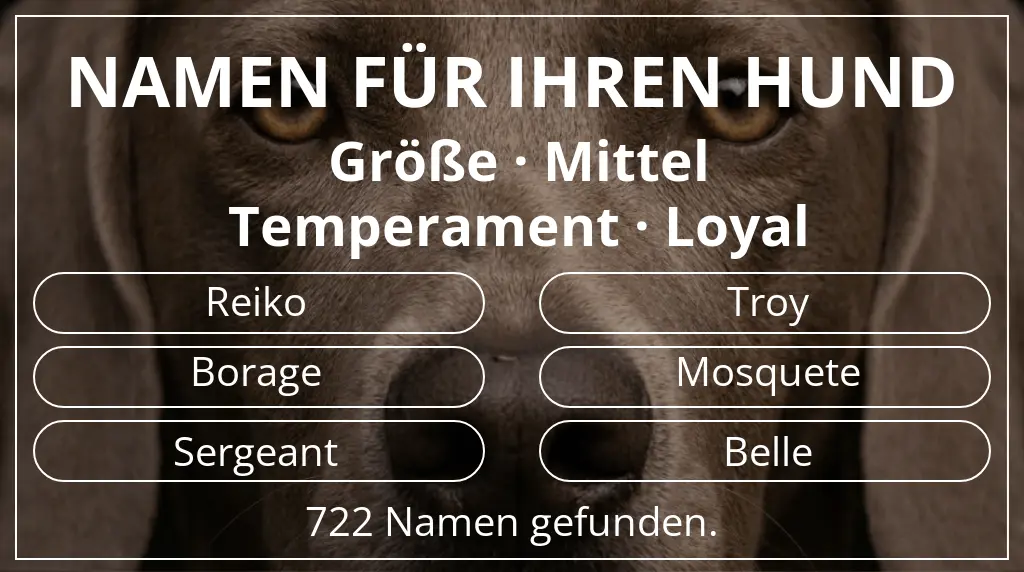 Hundenamen inspiriert von größe mittel und temperament loyal