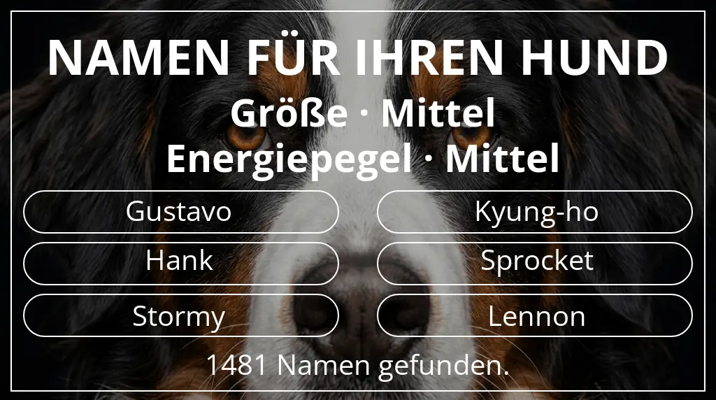 Namen für Hunde basierend auf größe mittel und energiepegel mittel
