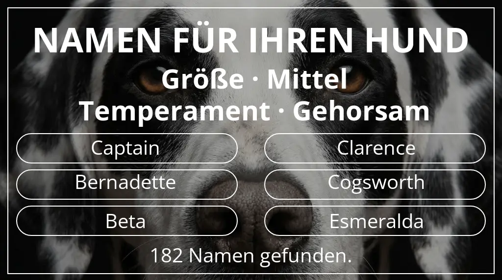 Hundenamen basierend auf größe mittel und temperament gehorsam
