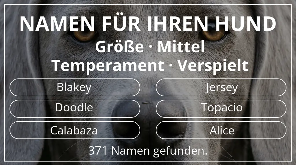 Hundenamen inspiriert von größe mittel und temperament verspielt