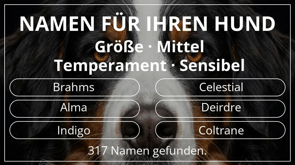 Namen für Hunde inspiriert von größe mittel und temperament sensibel