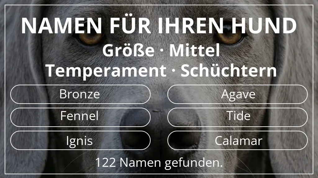 Namen für Hunde basierend auf größe mittel und temperament schüchtern