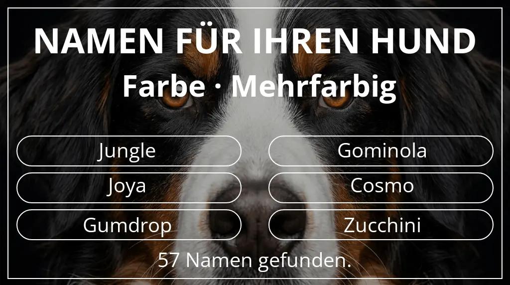Hundenamen basierend auf farbe mehrfarbig
