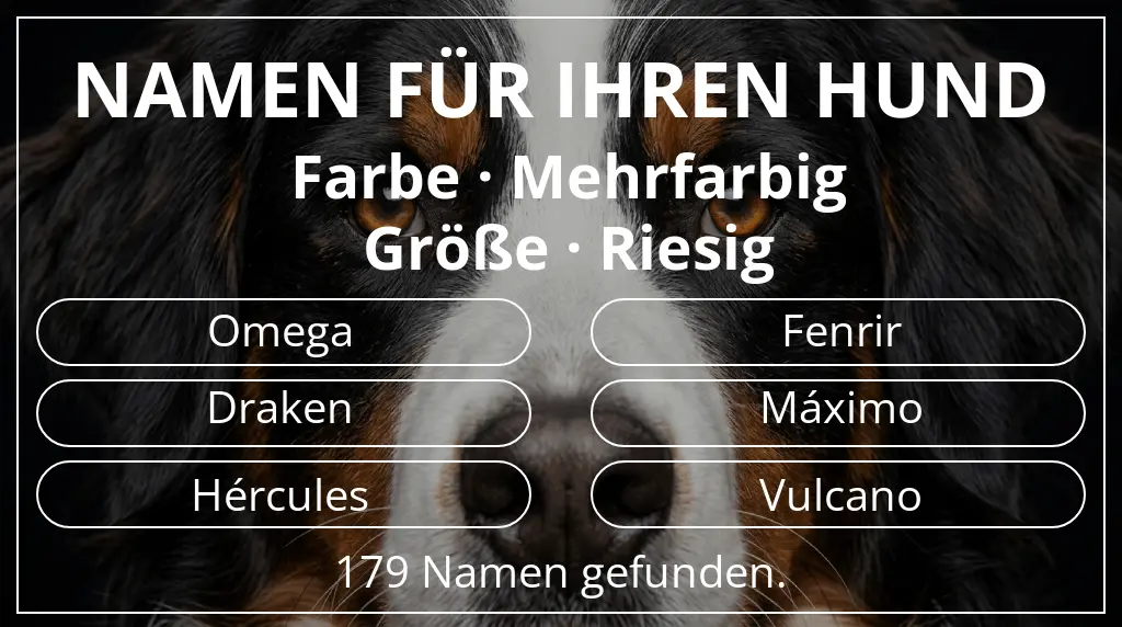 Namen für Hunde basierend auf farbe mehrfarbig und größe riesig