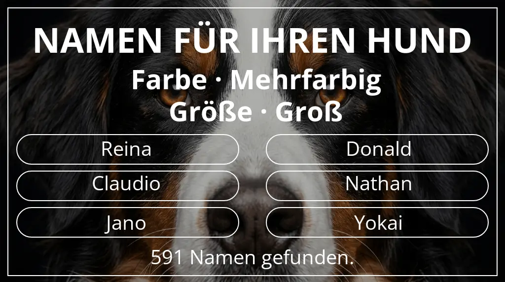 Namen für Hunde basierend auf farbe mehrfarbig und größe groß