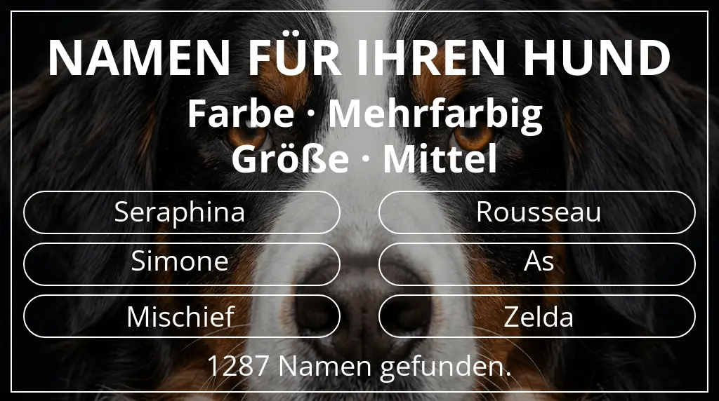 Hundenamen inspiriert von farbe mehrfarbig und größe mittel