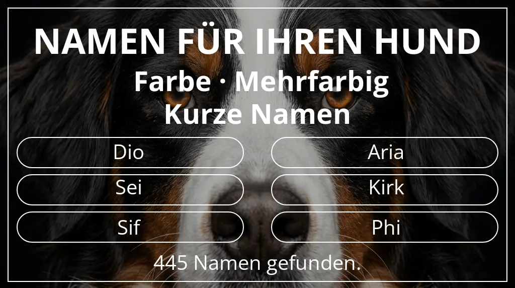 Namen für Hunde inspiriert von farbe mehrfarbig und namenslänge kurz (2–4)