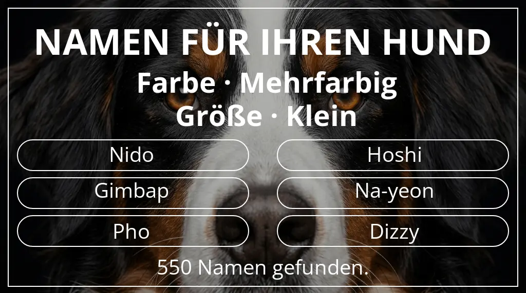 Namen für Hunde basierend auf farbe mehrfarbig und größe klein