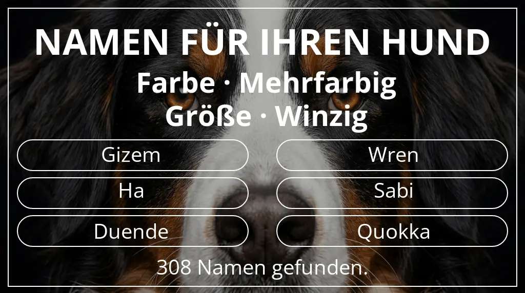 Namen für Hunde inspiriert von farbe mehrfarbig und größe winzig