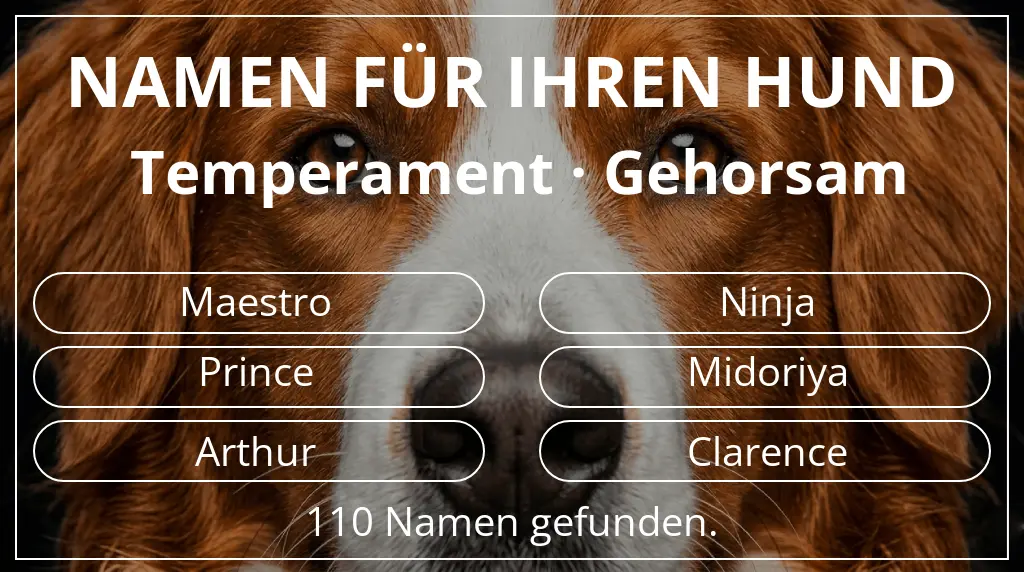 Namen für Hunde basierend auf temperament gehorsam
