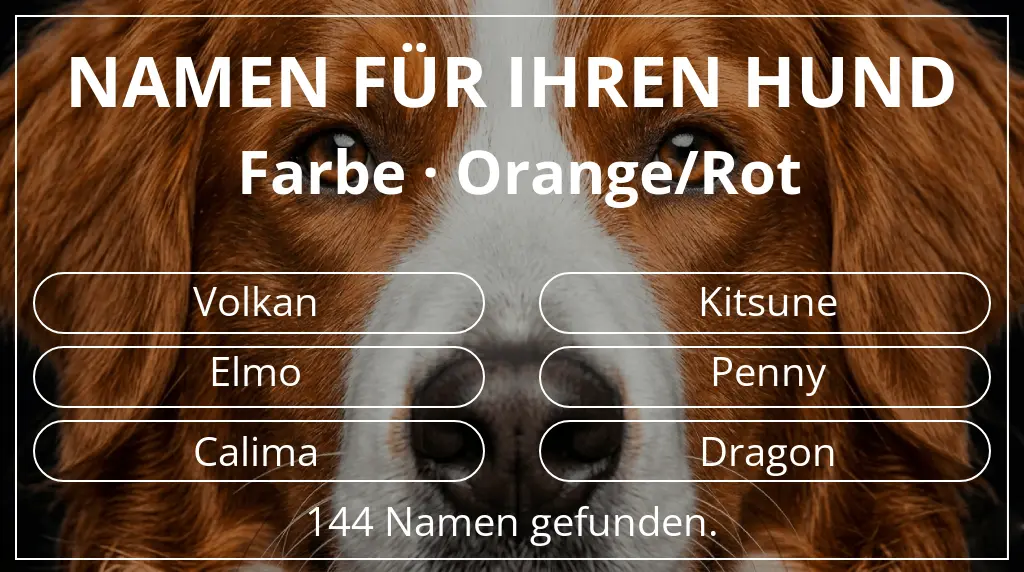 Namen für Hunde basierend auf farbe orange/rot