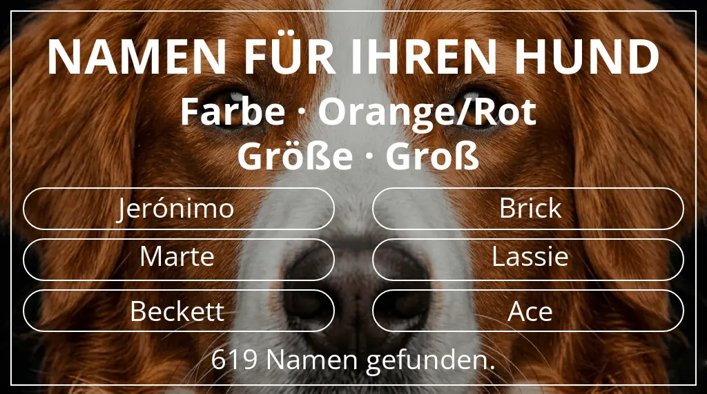 Namen für Hunde basierend auf farbe orange/rot und größe groß