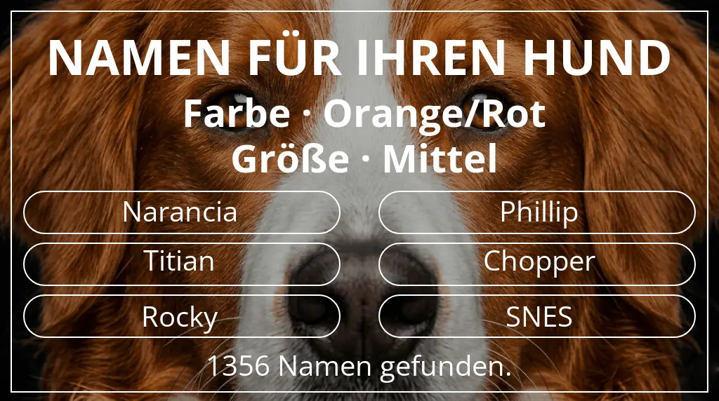 Namen für Hunde basierend auf farbe orange/rot und größe mittel