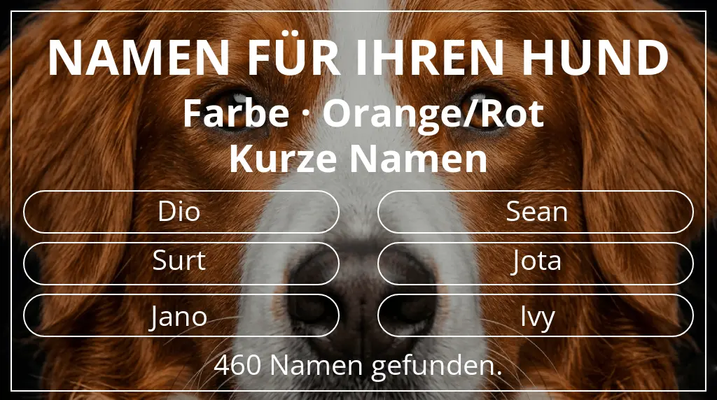 Hundenamen inspiriert von farbe orange/rot und namenslänge kurz (2–4)