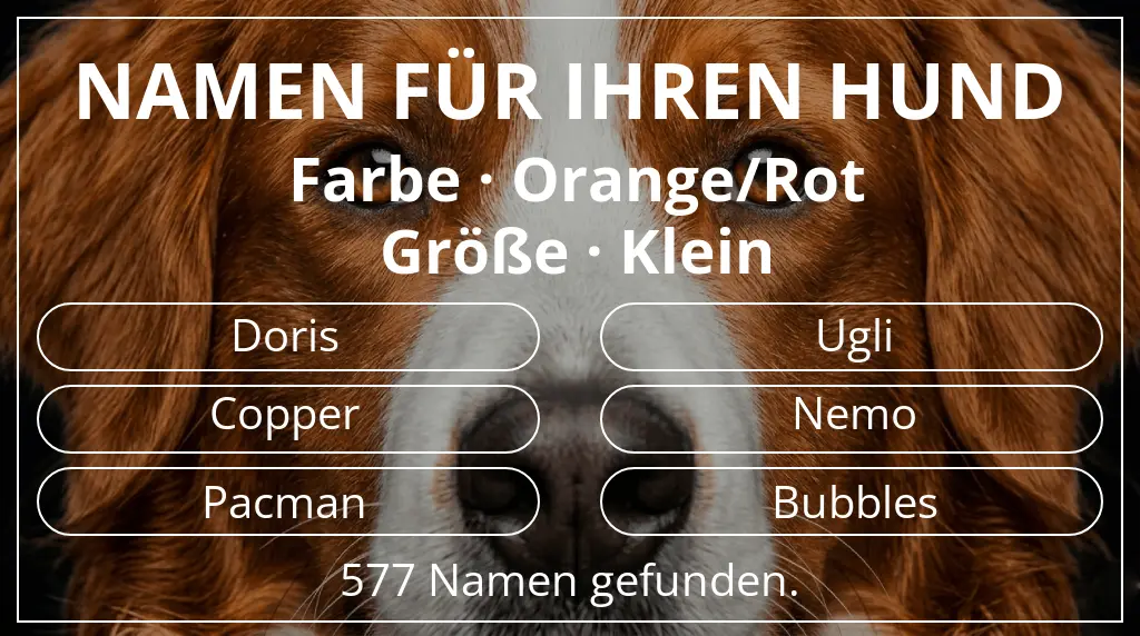 Namen für Hunde inspiriert von farbe orange/rot und größe klein