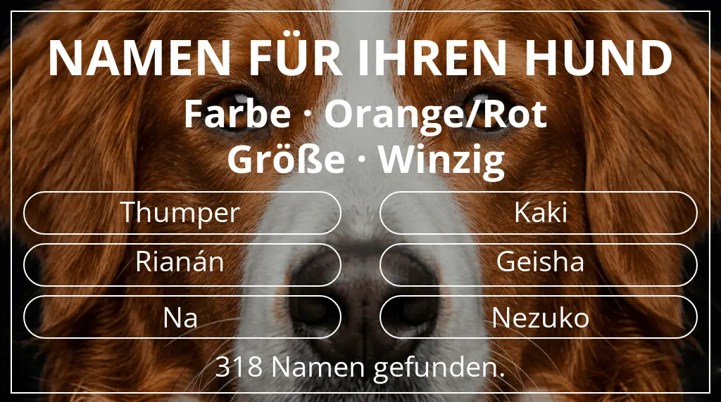 Hundenamen inspiriert von farbe orange/rot und größe winzig