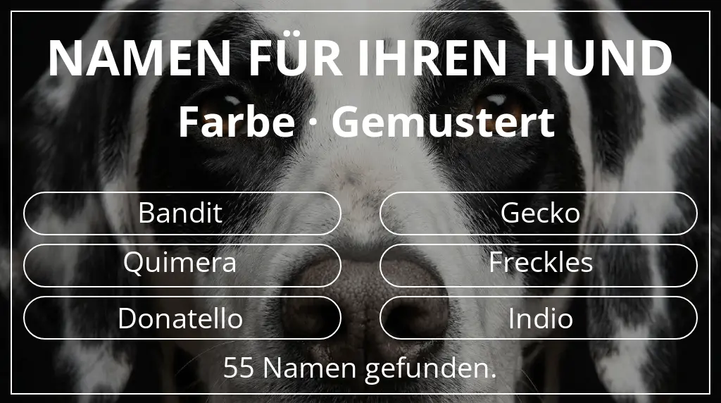 Namen für Hunde inspiriert von farbe gemustert