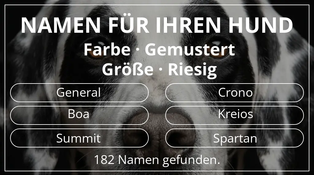 Namen für Hunde inspiriert von farbe gemustert und größe riesig