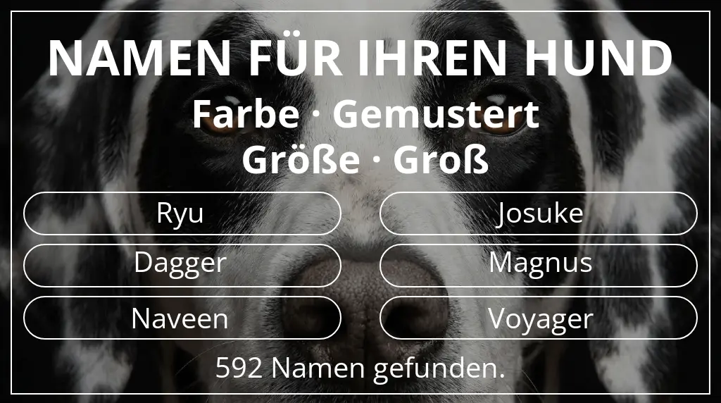 Hundenamen basierend auf farbe gemustert und größe groß