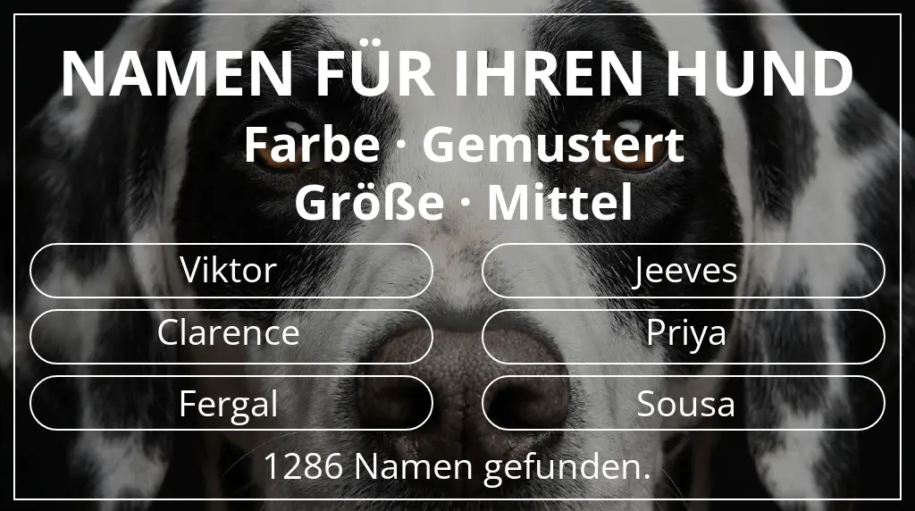 Hundenamen inspiriert von farbe gemustert und größe mittel