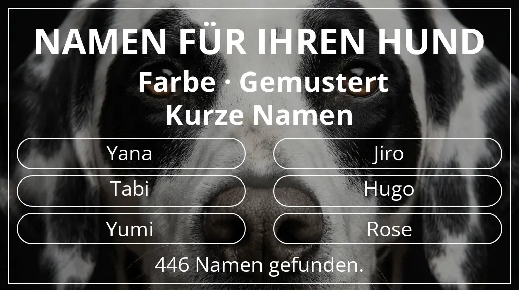 Hundenamen basierend auf farbe gemustert und namenslänge kurz (2–4)