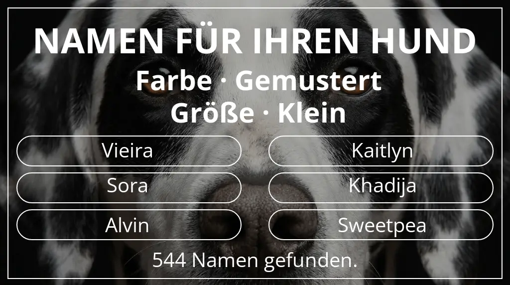 Namen für Hunde inspiriert von farbe gemustert und größe klein