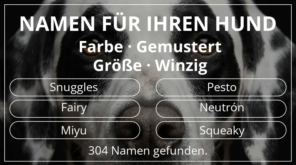 Hundenamen basierend auf farbe gemustert und größe winzig