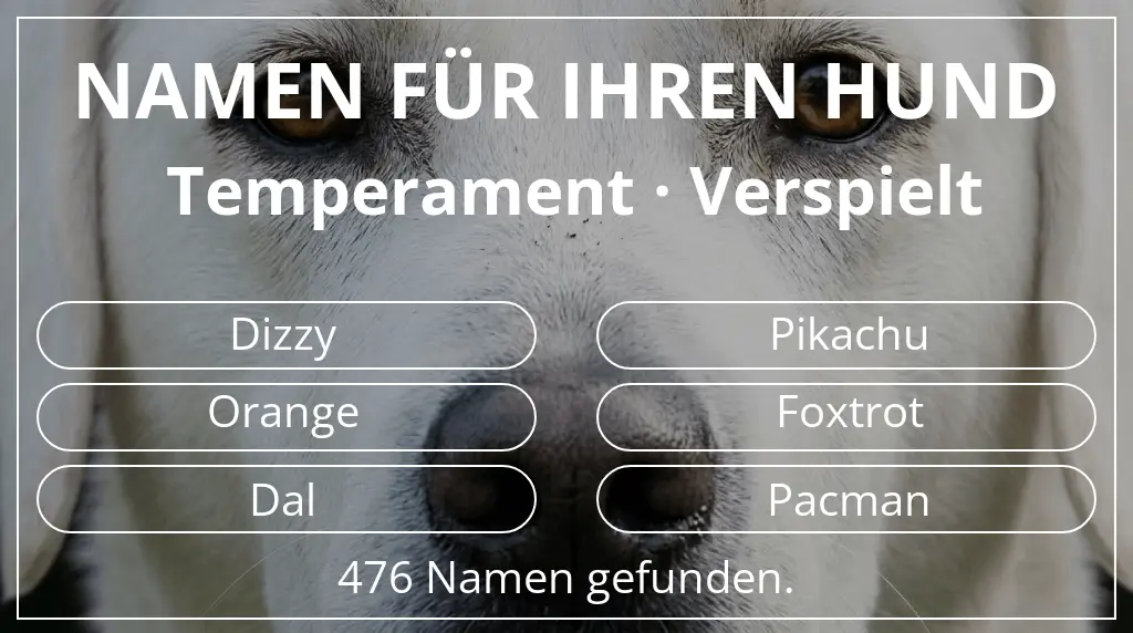 Namen für Hunde basierend auf temperament verspielt