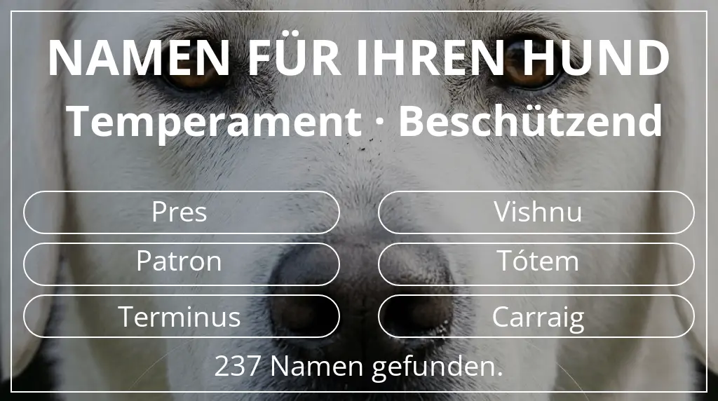 Hundenamen basierend auf temperament beschützend