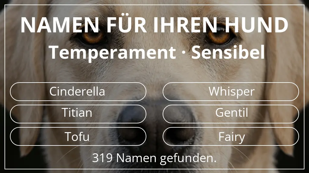 Namen für Hunde inspiriert von temperament sensibel