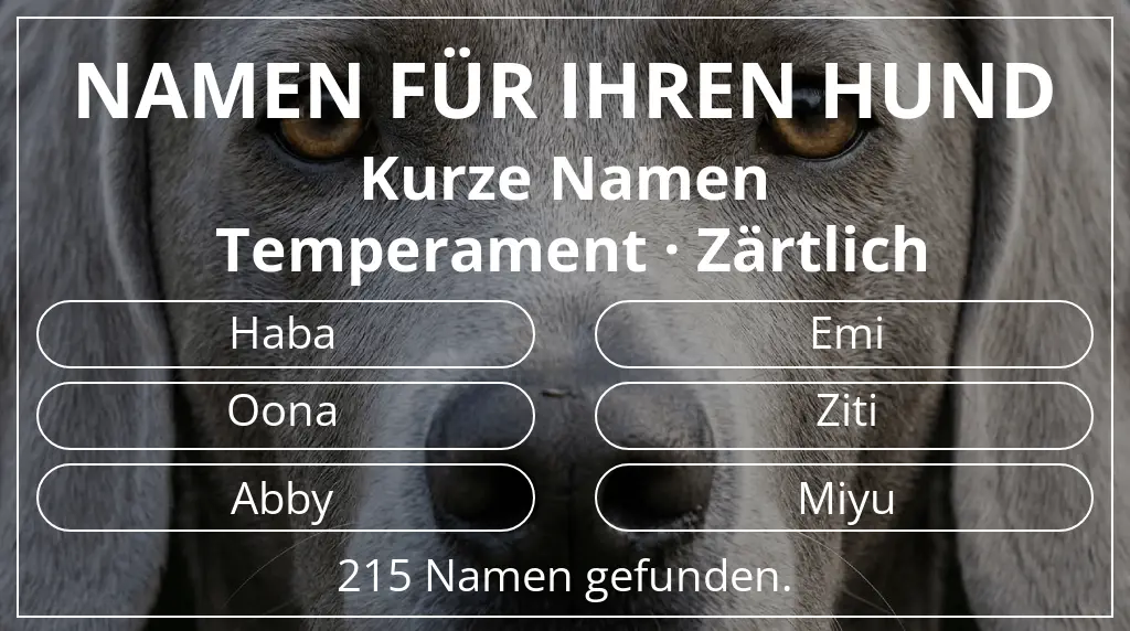 Hundenamen inspiriert von namenslänge kurz (2–4) und temperament zärtlich