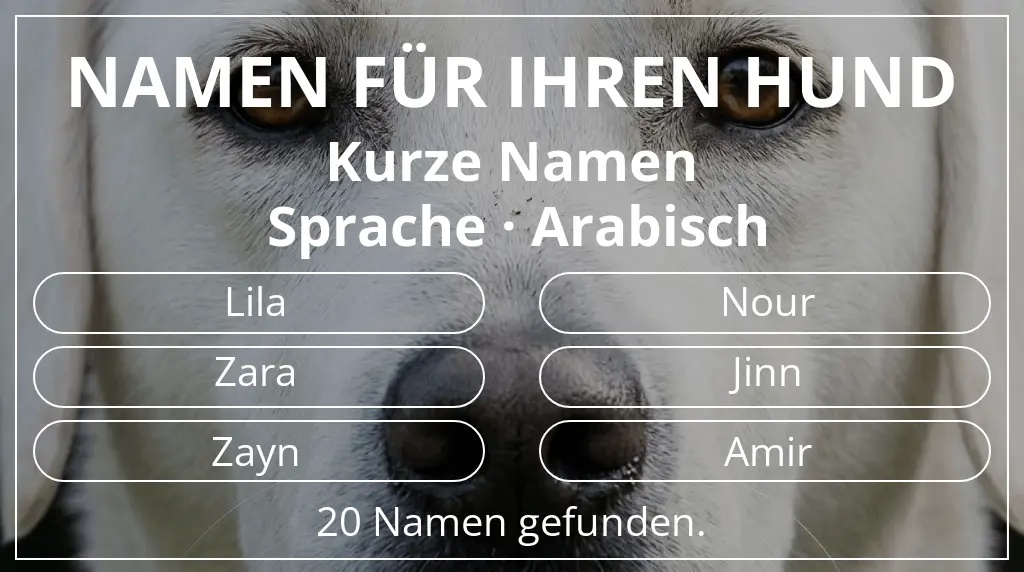 Namen für Hunde inspiriert von namenslänge kurz (2–4) und sprache arabisch