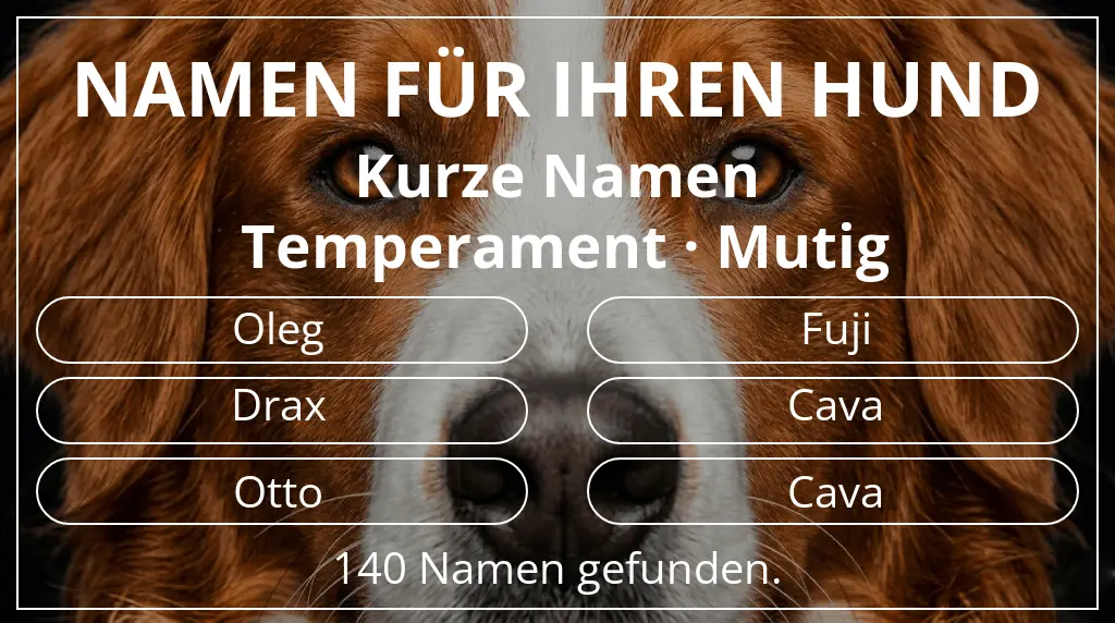 Hundenamen inspiriert von namenslänge kurz (2–4) und temperament mutig